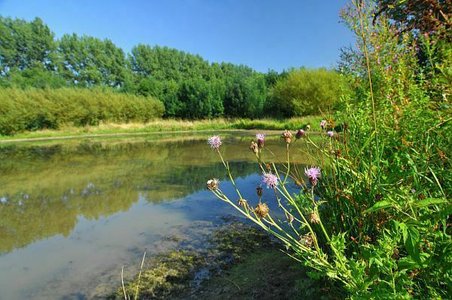 Loisirs Balade naturaliste : automne dans sous-bois