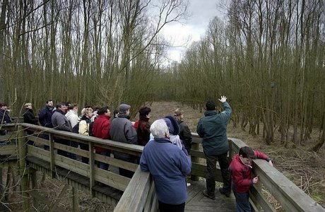 Loisirs Balade naturaliste : automne dans sous-bois