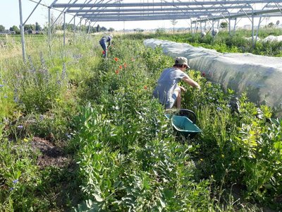 Loisirs Visite guide la Ferme Hauts-Jardins