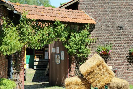 Loisirs Visite la Ferme Pdagogique