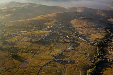 Expositions A dcouverte vins Beaujolais