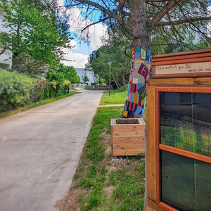 Expositions Platanes macadam: coeur d une cit verte