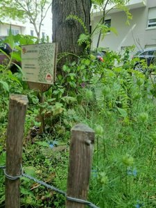 Loisirs FESTIVAL CURIEUX DTOURS - GRANDCLMENT : BALADE ENTRE BIODIVERSIT PATRIMOINE