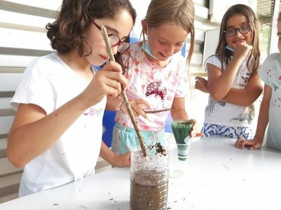 Stages,cours Stages la Toussaint avec Quai Curieux