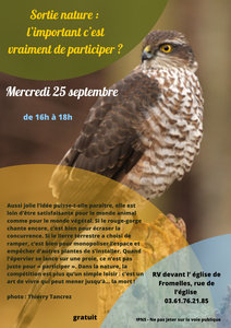 Expositions Sortie nature : l important c est participer ?