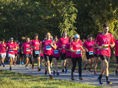 Expositions Octobre Rose - Marches courses contre cancer