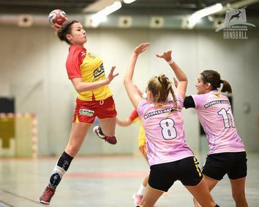 Expositions Matchs Handball  CENON