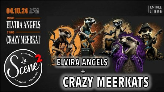 Expositions ELVIRA ANGELS / CRAZY MEERKATS