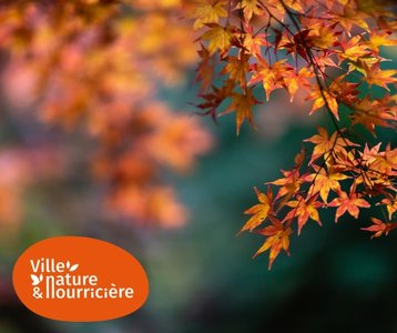 Expositions Quelle nature automne