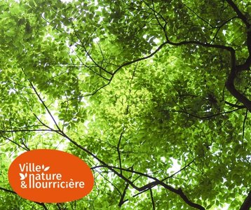 Loisirs Balade  dcouverte arbres