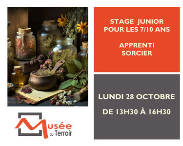 Stages,cours Stage Junior 7/10 : Apprenti sorcier