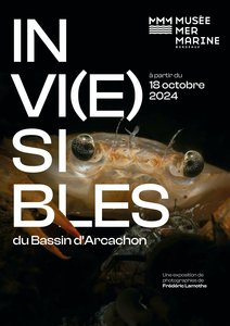 Expositions Exposition  Invi(e)sibles bassin d Arcachon 