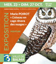 Expositions Exposition peintures   L oiseau cage rvera nuages  - 23 27 octobre