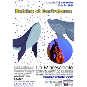 Expositions Baleine contrebasse