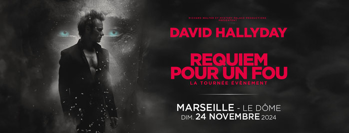 Expositions DAVID HALLYDAY, REQUIEM POUR FOU