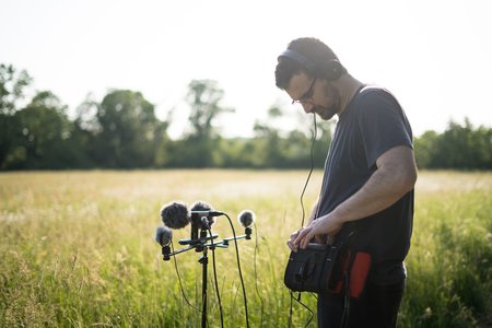 Expositions Journe naturophonique l coute vivant