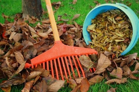 Expositions Feuilles mortes contre compost