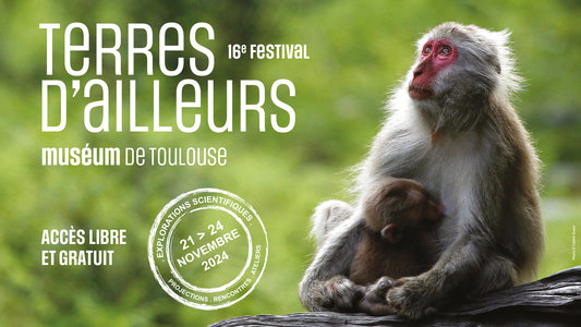 Expositions Festival Terres d ailleurs