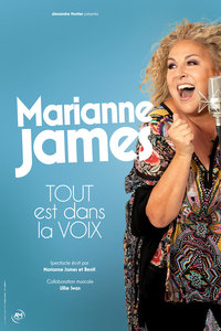 Spectacles Spectacle d humour musical : Marianne James - Jeudi novembre