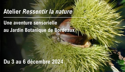 Stages,cours Atelier sensoriel - Ressentir nature