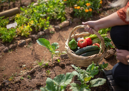 Expositions Mon potager avec Amlie