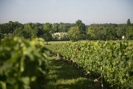 Expositions Les portes ouvertes Saint-Emilion - Lussac - Puisseguin